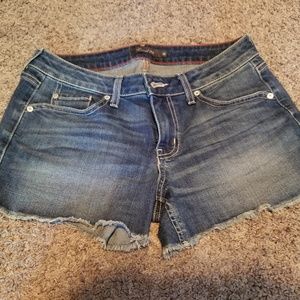 Level 99 Chelsea Frayed Side Slit Denim Shorts